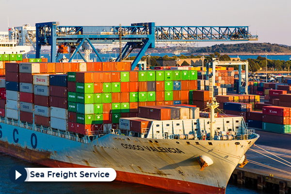 PT Mora Aruna Globalindo menyediakan layanan Sea Freight Service bagi Anda yang ingin melakukan pengiriman barang menggunakan transportasi melalui area lautan domestik maupun internasional.